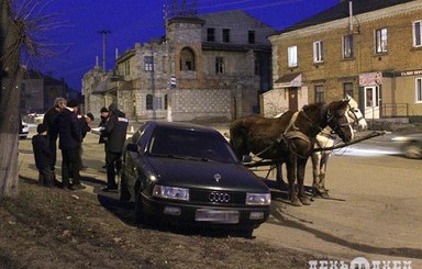 Курьезная авария под Хмельницким: разбойник украл лошадей и врезался в 