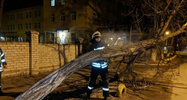 Ураган в Украине: без света - полтысячи населенных пунктов, 3 людей погибли