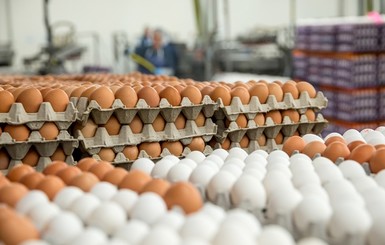 Одними яйцами сыт не будешь: как выросли цены за год