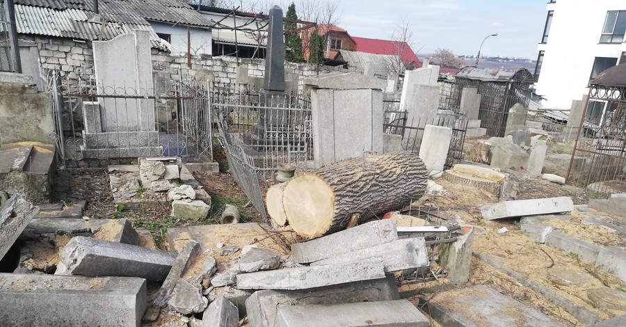 В Кишиневе повалили сотни надгробий, вырубая деревья на кладбище