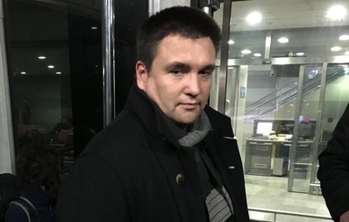 Климкин призвал к давлению на Россию из-за приговора Грибу
