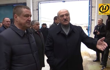 Лукашенко уволил губернатора из-за коровника: 