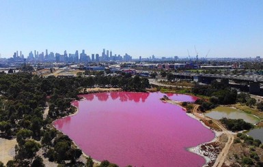 В Австралии появилось розовое озеро