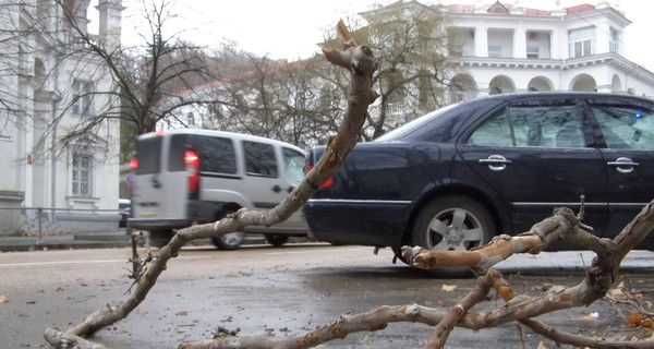 Киевлян предупредили о сильном ветре и заморозках