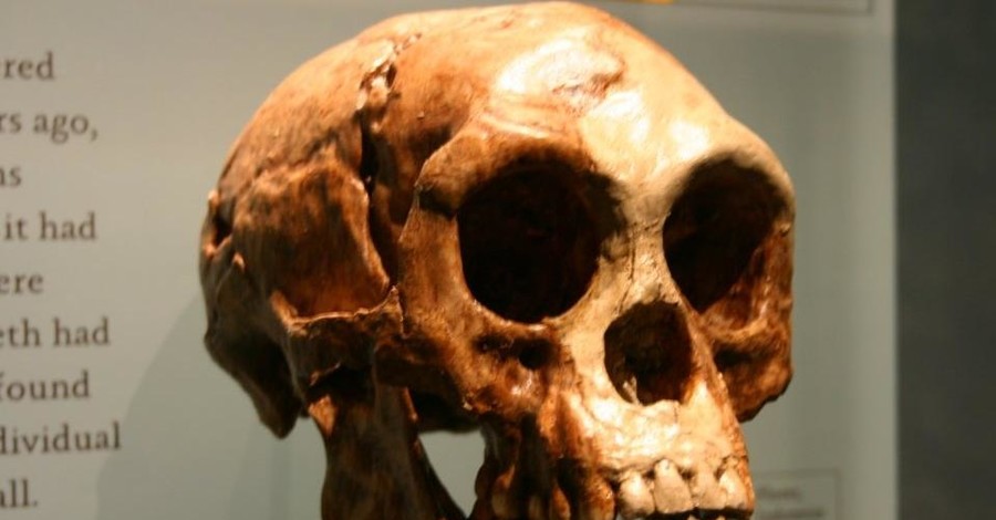 На Филиппинах нашли останки древних людей неизвестного вида