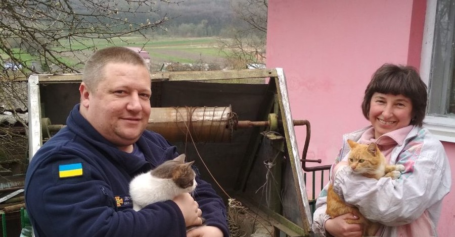 Во Львовской области спасли двух котов, упавших в десятиметровый колодец