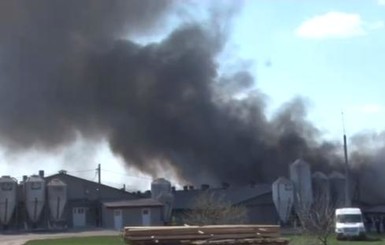 Во Львовской области сгорела ферма, погибли 500 животных