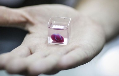 Ученые впервые напечатали на 3D-принтере живое сердце