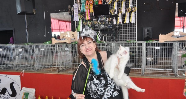 В Днепре на автовокзале ухажер украл у заводчицы элитных кошек