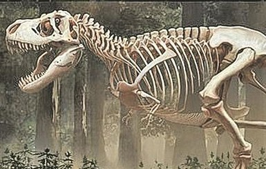 Тираннозавры: ученые показали, как они выглядели на самом деле