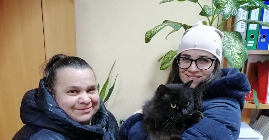 Жительница Кременчуга нашла сбежавшего больше 2 лет назад кота благодаря Фейсбуку