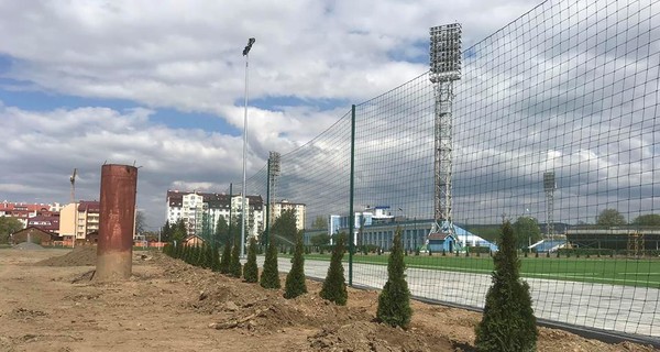 В Ужгороде со стадиона украли высаженные недавно деревья