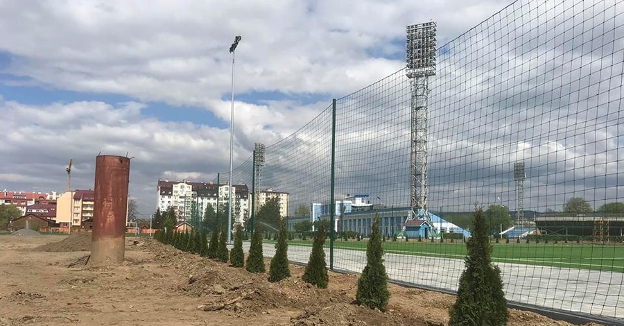 В Ужгороде со стадиона украли высаженные недавно деревья