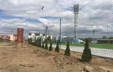В Ужгороде со стадиона украли высаженные недавно деревья