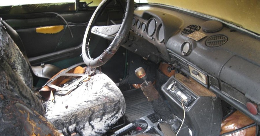 Под Одессой 2-летняя девочка сгорела в машине 