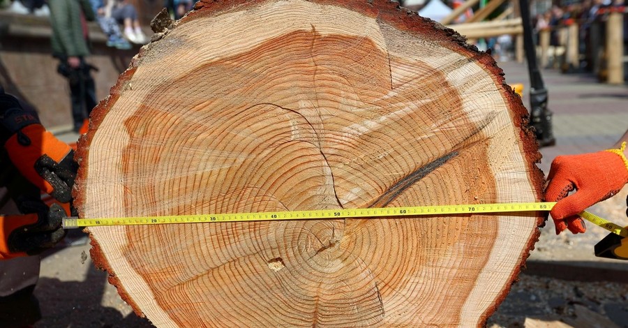 В Тернополе сделали рекордно длинный стол из цельной древесины