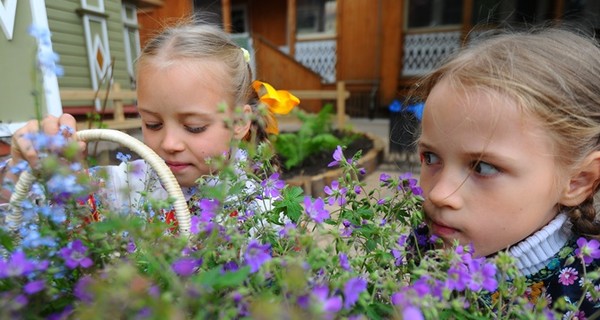 Весенняя аллергия: как разобраться, сезонный насморк от ОРВИ или от цветения растений? 