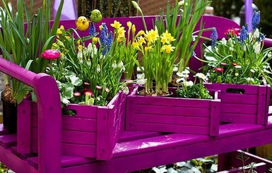 Дешево и красиво: 12 идей оригинально украсить сад