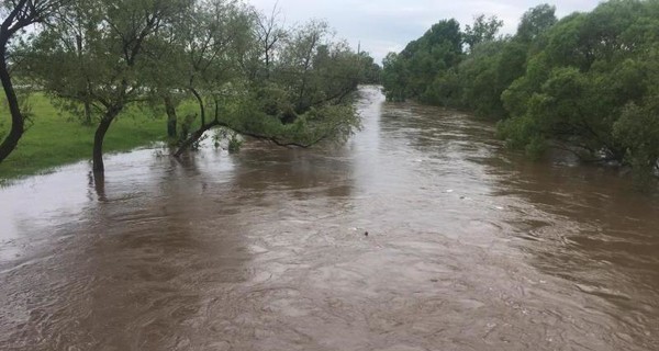 Уровень воды в реке Уж побил исторический рекорд
