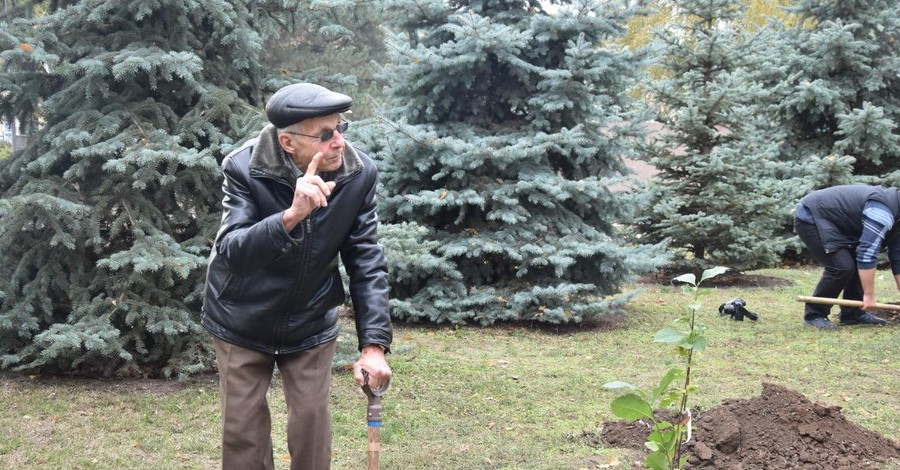 Пара из Николаева за 65 лет семейной жизни высадила 21 тысячу деревьев