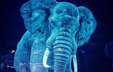 Немецкий цирк использует голограммы вместо настоящих зверей