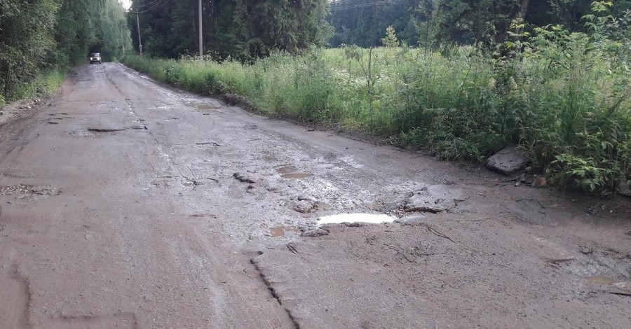 В Сумской области коров зарежут из-за плохих дорог