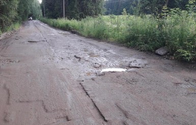 В Сумской области коров зарежут из-за плохих дорог