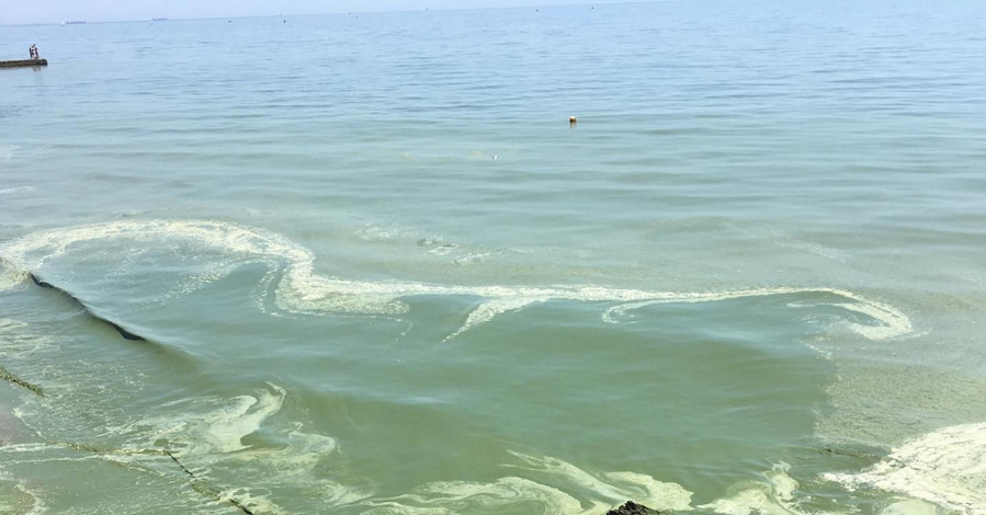 Экологи о зеленой воде на побережье Одессы: “Купаться можно, если не нырять”