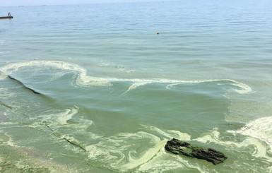 Экологи о зеленой воде на побережье Одессы: “Купаться можно, если не нырять”