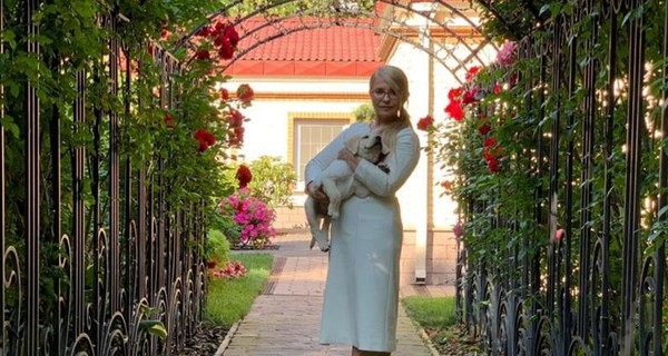 Советы для Тимошенко: Юля, учтите - лабрадоры любят жевать лабутены