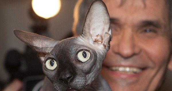 Мошенники подменили сбежавшего кота Бари Алибасова и нажились на горе семьи
