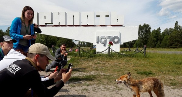 На волне интереса в Чернобыле ожидают сто тысяч туристов до конца года