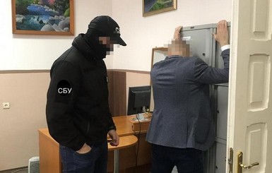 Очередная победа Савченко: террористов, изменников и шпионов теперь можно брать на поруки