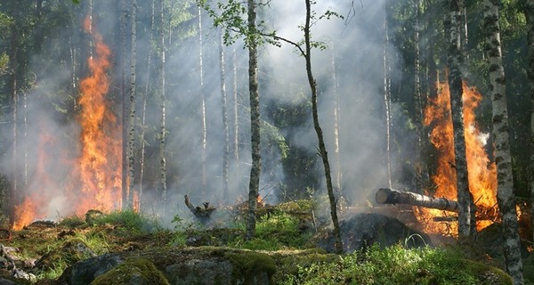 Украинцев предупредили о чрезвычайной пожарной опасности из-за жары