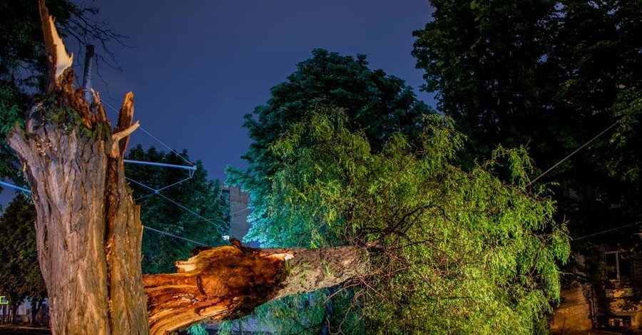 Ураган на Днепропетровщине привел к массовому деревопаду: пострадали 2 человека, 10 поездов задерживались