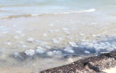 У берегов Кирилловки и Геническа появились огромные медузы