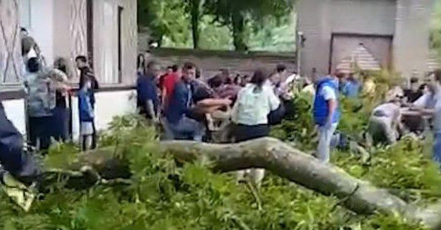 В Азербайджане ветка 500-летнего дерева упала и травмировала туристов
