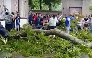 В Азербайджане ветка 500-летнего дерева упала и травмировала туристов