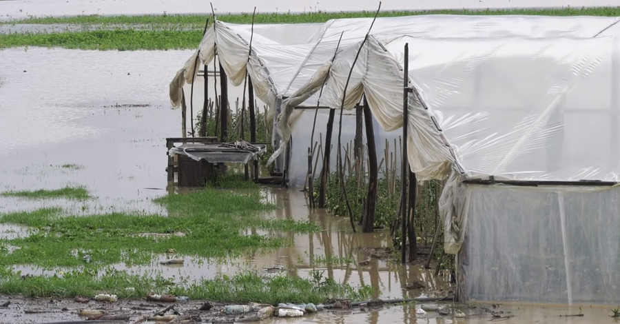 Фермеры Закарпатья после паводка бросили овощной бизнес и выезжают на заработки