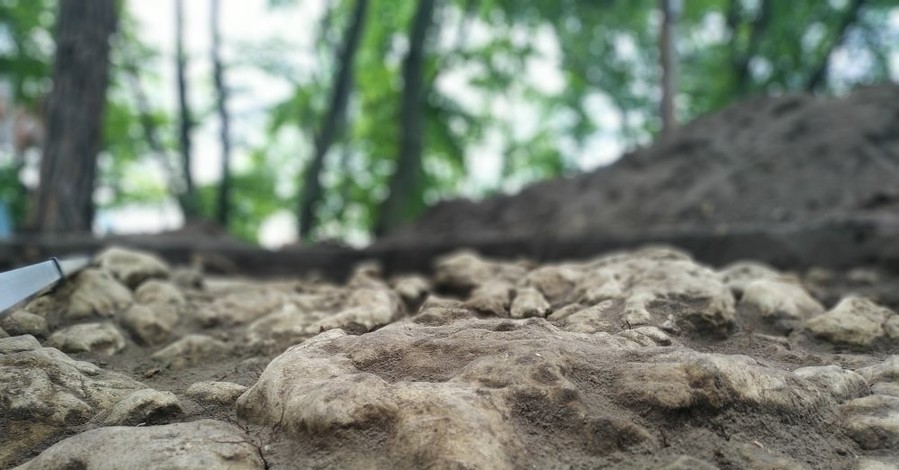 Мэр города Винники:  на горе Жупан  археологи обнаружили сенсационную находку