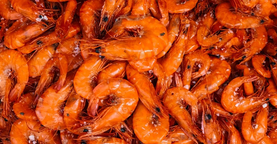 На курорте Херсонской области 18 человек отравились морепродуктами
