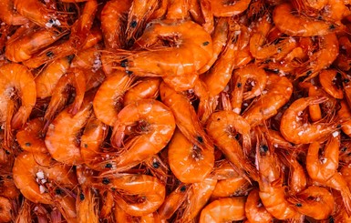 На курорте Херсонской области 18 человек отравились морепродуктами