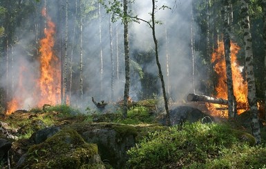 В Хорватии более суток пожарные пытаются потушить огонь