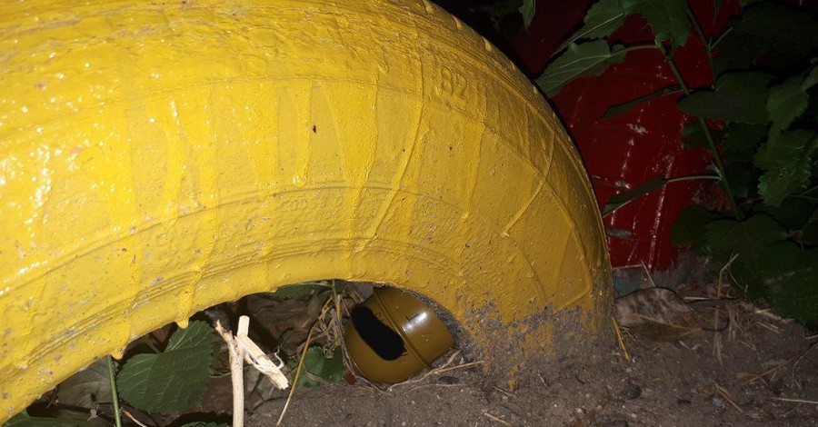 В Николаевской области на детской площадке нашли гранату