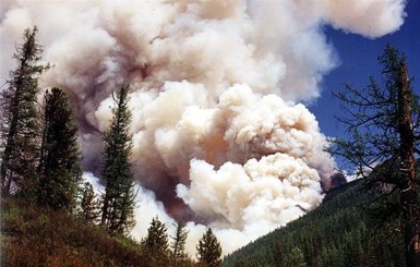 Лесные пожары в России грозят глобальной экологической катастрофой