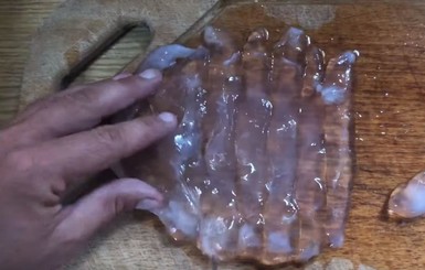 Блогер из Геническа выложил видеорецепт блюда из медузы