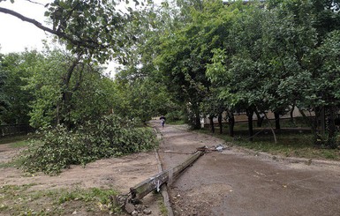 В Николаеве ураган повалил деревья и затопил улицы 