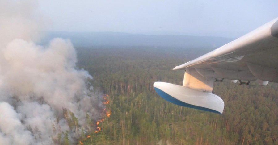Экологи о пожарах в Сибири: 