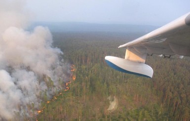 Экологи о пожарах в Сибири: 