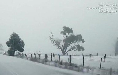 В Австралии посреди лета выпал снег, кенгуру скачут через сугробы